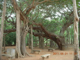 India - Auroville solar heat collector