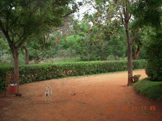 India - Auroville