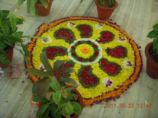 85 7kn. India - wedding location - lunch - Puducherry (Pondicherry) - floral design