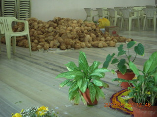 86 7kn. India - wedding location - lunch - Puducherry (Pondicherry) - coconuts