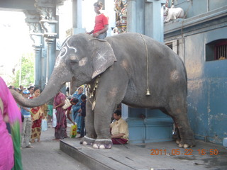 India - afternoon group in Puducherry (Pondicherry)  - Bay of Bengal beach