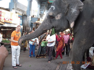 141 7kn. India - afternoon group in Puducherry (Pondicherry)  - Jon feeding elephant