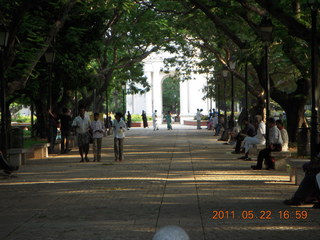 India - afternoon group in Puducherry (Pondicherry)  - elephant