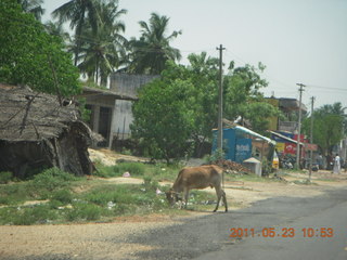 India - Puducherry (Pondicherry) to Mamallapuram