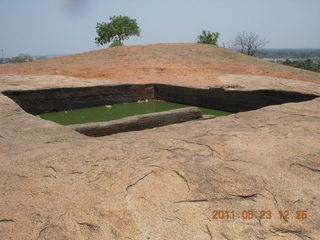 India - Mamallapuram - goats