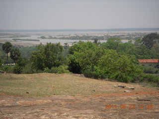 India - Mamallapuram - goats
