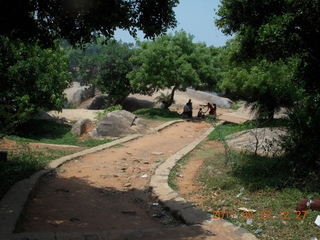 India - Mamallapuram - goats