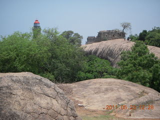 India - Mamallapuram - goat