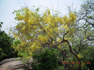 India - Mamallapuram