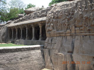 India - Mamallapuram - Adam