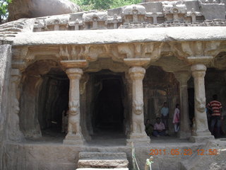 India - Mamallapuram - cows