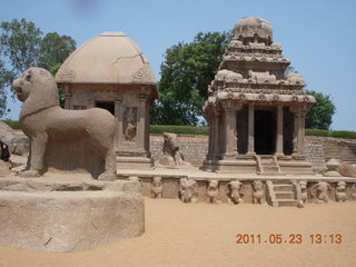 India - Mamallapuram - animal sculptures and temples