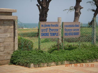 India - Mamallapuram - animal sculptures and temples