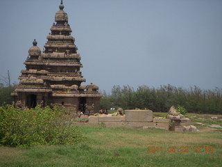 India - Mamallapuram - animal sculptures and temples
