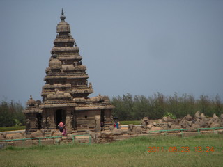 India - Mamallapuram - animal sculptures and temples