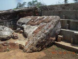 India - Mamallapuram - Adam - animal sculptures and temples