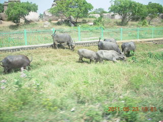 293 7kp. India - Mamallapuram to Puducherry (Pondicherry)