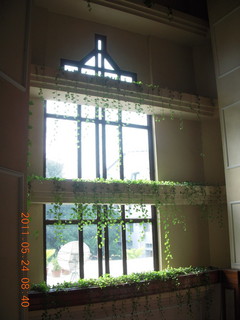 India - Bengaluru (Bangalore) - Chancery Hotel window view