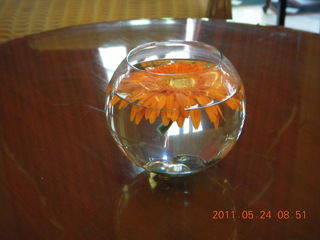 India - Bengaluru (Bangalore) - Chancery Hotel roomn