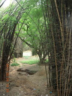 India - Bengaluru (Bangalore) park