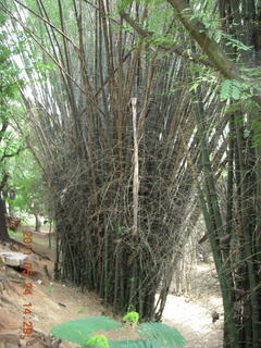 India - Bengaluru (Bangalore) park