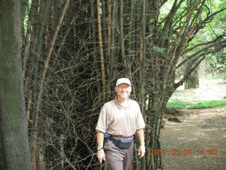 India - Bengaluru (Bangalore) park - Adam