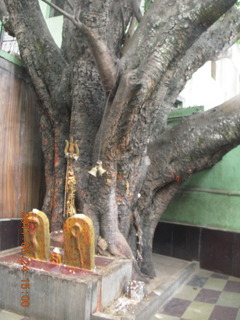 India - Bengaluru (Bangalore) - temple ceiling