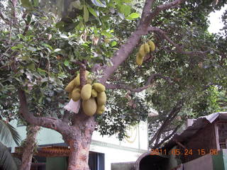 India - Bengaluru (Bangalore) - temple