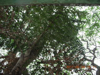 India - Bengaluru (Bangalore) - lake park