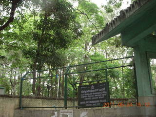 India - Bengaluru (Bangalore) - lake park