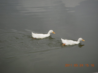 India - Bengaluru (Bangalore) - lake park