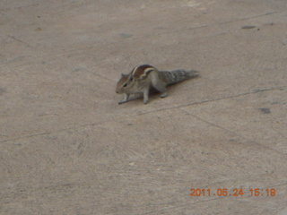 India - Bengaluru (Bangalore) - lake park