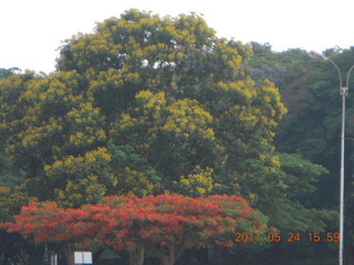 India - Bengaluru (Bangalore) - castle