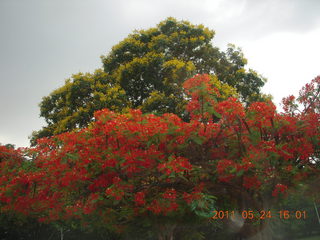 India - Bengaluru (Bangalore) - castle