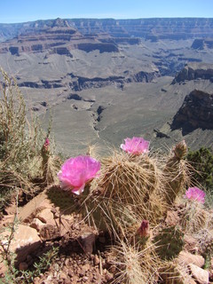 Norbert's pictures - Grand Canyon trip - Adam