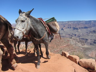Norbert's pictures - Grand Canyon trip - Ceder Ridge sign