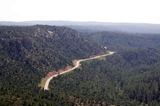 the part of Piper Magazine that came