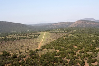 the part of Piper Magazine that came