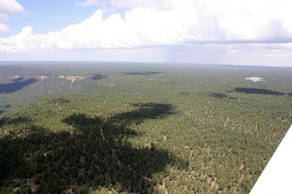 Sean's pictures - aerial