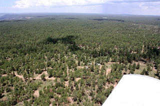 Sean's pictures - aerial