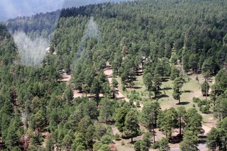 Sean's pictures - aerial