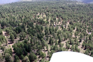 Sean's pictures - aerial