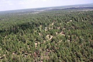 Sean's pictures - aerial