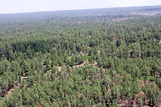 Sean's pictures - aerial