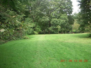Cheltenham Cross Country - Curtis Arboretum XC
