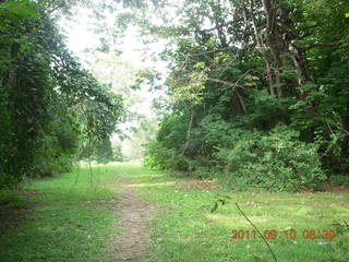 Cheltenham Cross Country - Curtis Arboretum - new-course views (in reverse order as I ran the loop backwards)