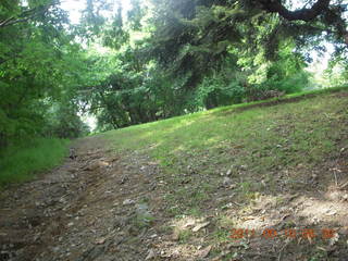 Cheltenham Cross Country - Curtis Arboretum XC