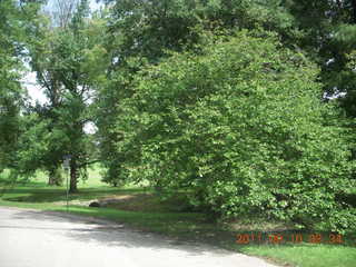 Cheltenham Cross Country - Curtis Arboretum - new-course views (in reverse order as I ran the loop backwards)