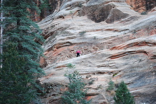 1731 7sf. Zion National Park - Hidden Canyon hike - Adam (very small)
