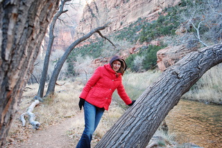 Zion National Park - Virgin River - Olga